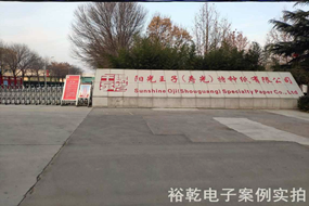 陽(yáng)光王子(壽光)特種紙有限公司能耗監(jiān)測(cè)案例