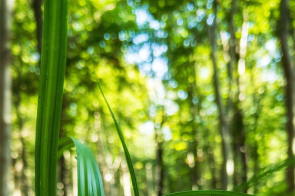 能耗監(jiān)測系統(tǒng)的系統(tǒng)開發(fā)需求之系統(tǒng)性能需求！