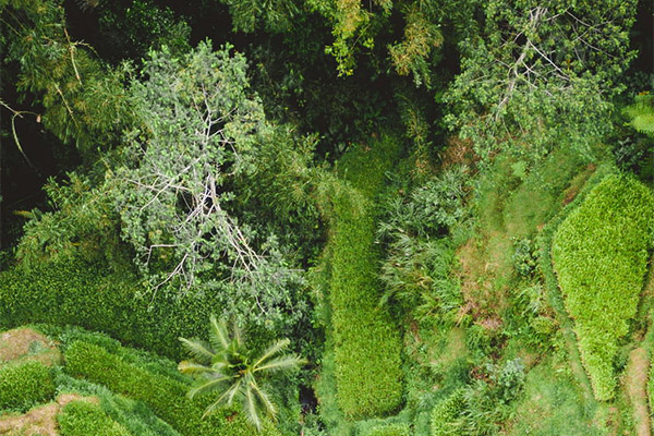 極端熱浪持續(xù)沖擊全球能源系統(tǒng)，中央空調(diào)系統(tǒng)顯身手！