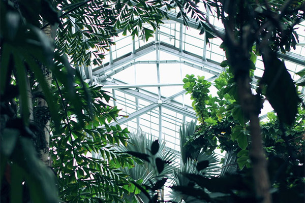 智慧公園 智慧公園