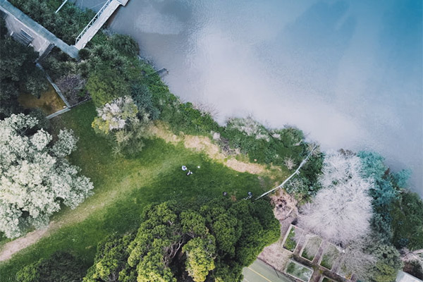 碳達(dá)峰、碳中和